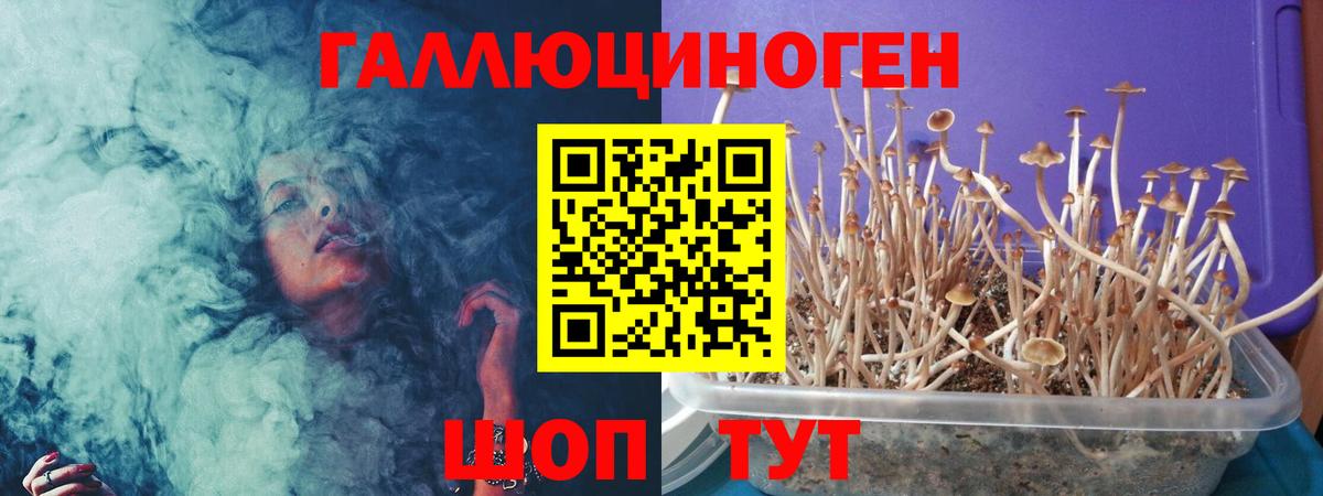 Гагарин  Псилоцибиновые грибы Cubensis  Вход с VPN 